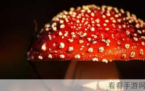 蘑菇视频红色logo黑料：蘑菇视频红色logo背后的黑料真相大揭秘！