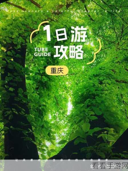 抖抈探探入口免费：免费拓展抖音、探探新入口，畅享社交乐趣无限！