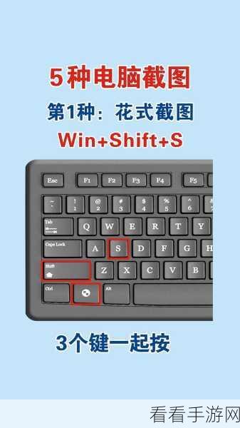 轻松掌握 Word 截屏秘籍，高效操作不再难