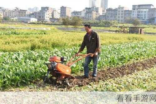儿子替父耕亩田:儿子接替父亲辛勤耕作,共同守护家园田地