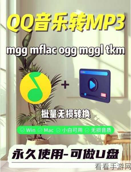 轻松搞定！音频大师教你 OGG 转 MP3 秘籍