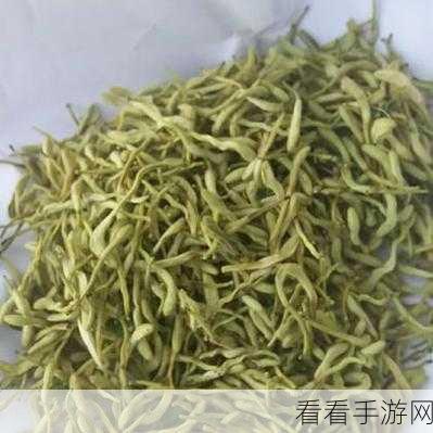 深度开发pop金银花免费软件：全面提升金银花市场潜力的深度开发与推广软件