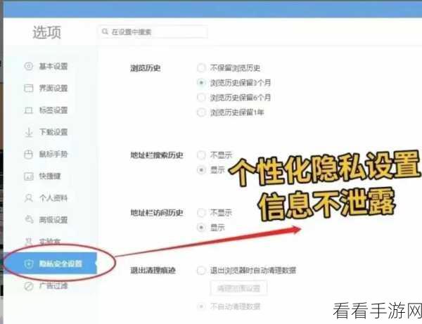 轻松搞定 360 极速浏览器地址栏复制粘贴助手启用秘籍
