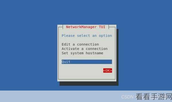 Linux 中 nmtui 命令能否洞察带宽使用之谜?