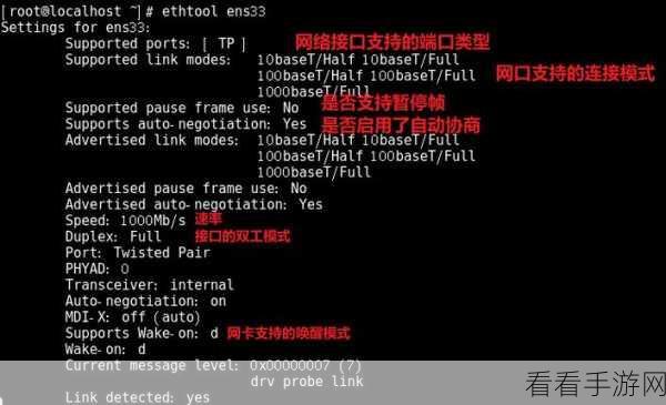 掌握 Linux nmtui 命令，轻松查看网络接口秘籍