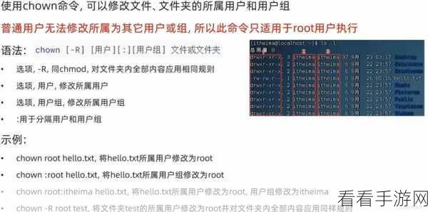 掌握 chmod 命令，轻松修改 Linux 权限秘籍