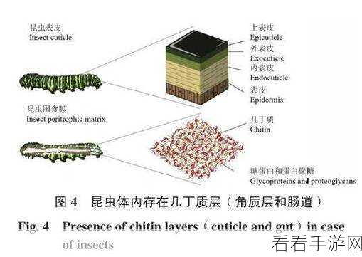 几丁质是关键：“拓展几丁质的应用领域与技术创新探索”