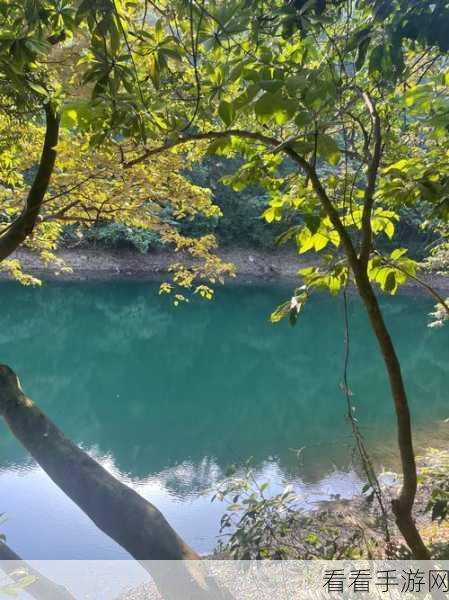 两峰夹小溪地湿又无泥诗：两峰夹溪水潺潺，湿润无泥映山光