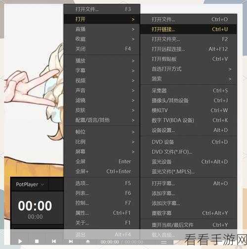 轻松搞定！PotPlayer 视频 180 度倒放秘籍