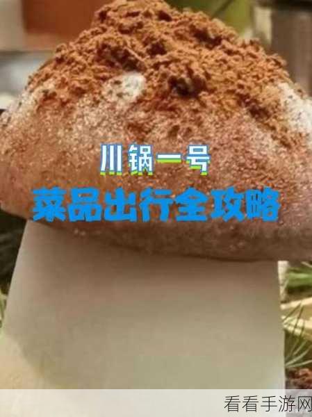 蘑菇黑料爆料传送门：深入探讨蘑菇黑料背后的秘密与真相传送门