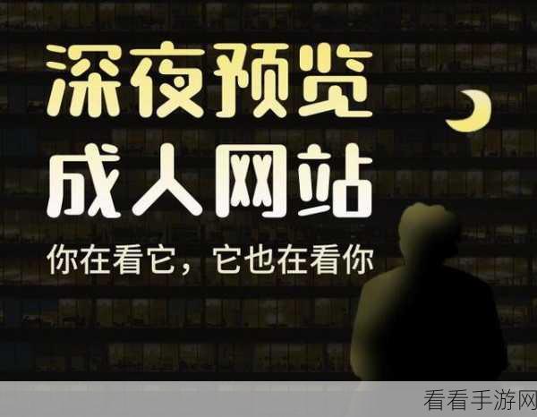 深夜禁用18大网站：深夜上网注意：18大禁用网站名单全解析