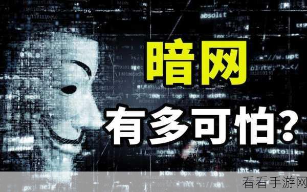 91暗网破解版：“91暗网破解版：揭开隐秘世界的神秘面纱与探索之旅”