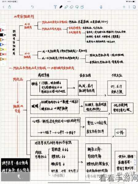 66m成长：“通过拓展66m，实现个人与职业双重成长的全新策略”