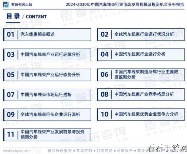 国产区123：探索国产区123的潜力与发展前景分析报告