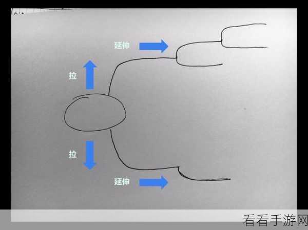 XMind 绘制含双直角连线秘籍，轻松更改关联线形状