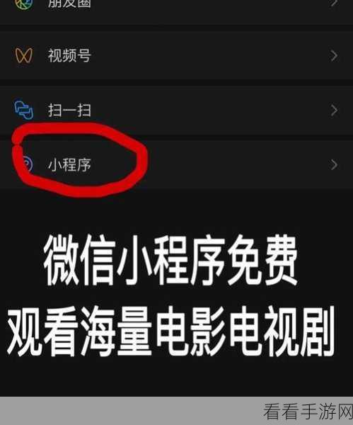 中国十大禁用软件免费：“全面解析中国十大禁用软件及其免费替代品推荐”