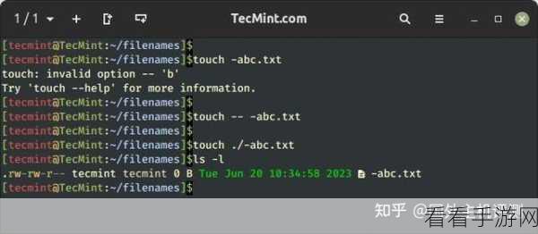 破解 Linux 服务器 timewait 难题的终极指南