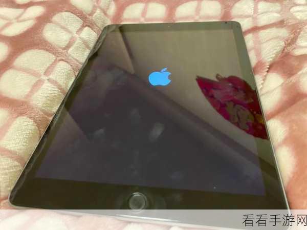 iPad 相机扫描二维码失灵？看这里！