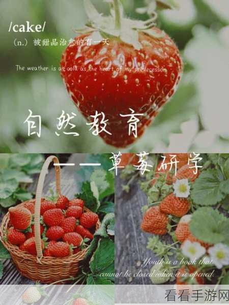 大草莓app无限404：畅享拓展大草莓无限版，让你体验无尽乐趣的全新应用