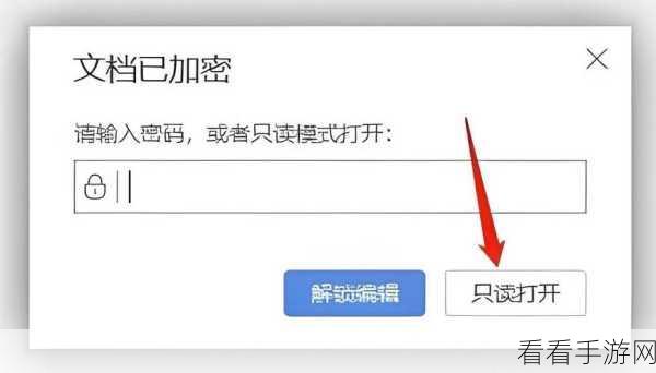 WPS PPT 文档密码设置秘籍,轻松保护重要文件