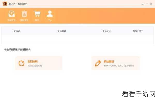 WPS PPT 文档密码设置秘籍,轻松保护重要文件