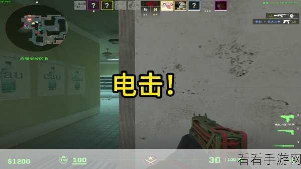 暴躁老阿姨CSGO最新：暴躁老阿姨CSGO新篇章：战场上的惊喜与挑战