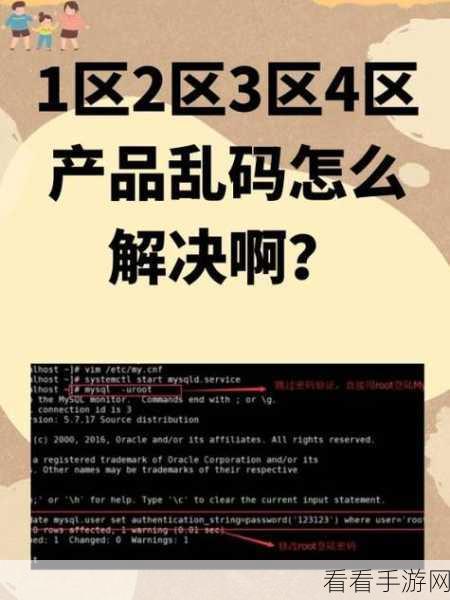 乱码一二三四国产：探索乱码背后的真相与国产技术的发展之路