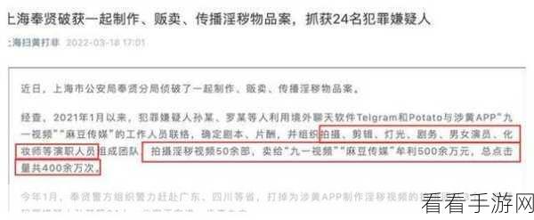 麻花豆传媒一二三产区观众群分析：“深入分析麻花豆传媒一二三产区观众群体特征与行为”