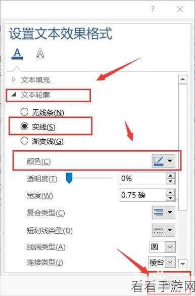 轻松掌握 Word 文本轮廓设置秘籍