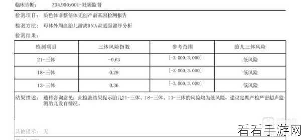 禁用软件：禁止使用特定软件的原因与影响分析报告