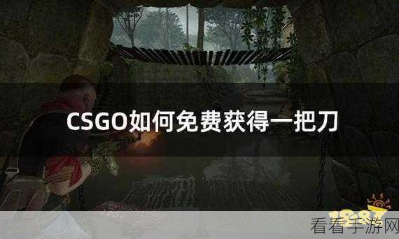 高清大片csgo免费：“畅玩高清大作！CSGO免费获取指南与攻略分享”