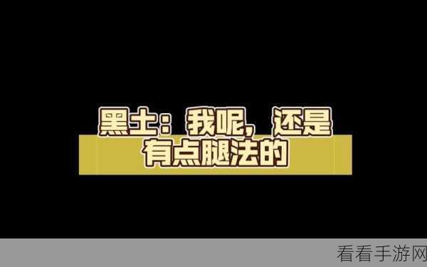 黑土ちゃんが脚法技巧：黑土ちゃん的脚法技巧大揭秘：让你轻松掌握足球技能！