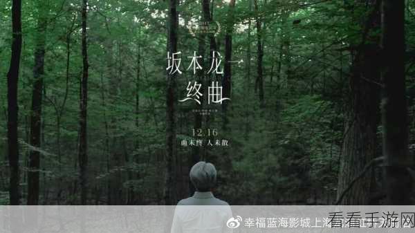 一曲二曲三曲免费播放：畅享音乐之旅：免费体验一曲二曲三曲的无限魅力