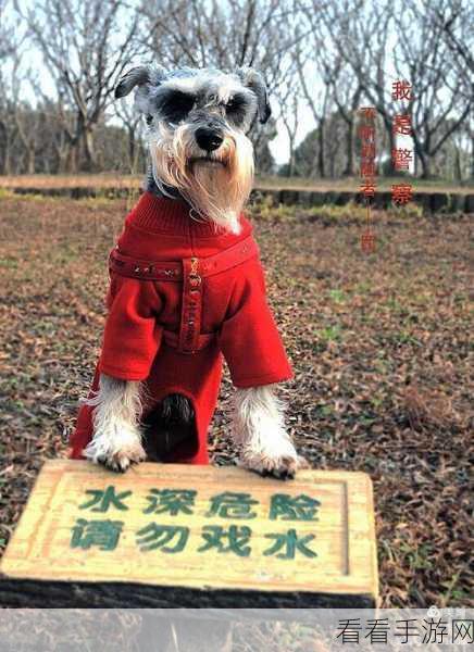 人狗胶配方大全免费天气预报：全面解析人狗胶配方与最新天气预报信息分享