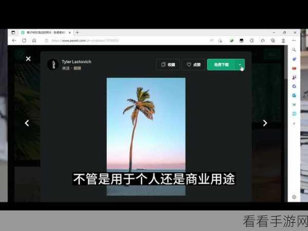 十大污视频软件下载:十大污视频软件下载推荐,畅享无限激情与乐趣!