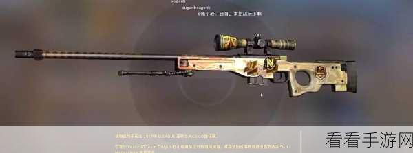 csgo大姐姐awp：全新挑战：CSGO大姐姐AWP带你征战电竞之巅