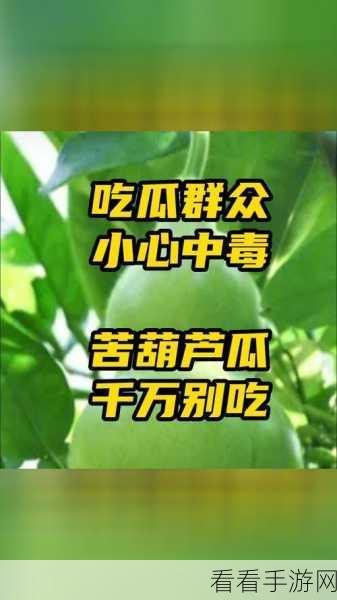 折磨强奸 - 黑料网 黑料吃瓜圣地 解决找瓜难题 155.fun：探索黑料内幕，揭露真相与强奸折磨事件 - 155.fun为您提供最新资讯