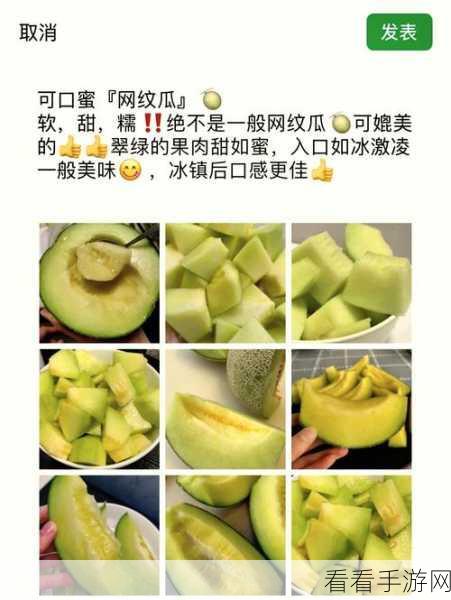 五一吃瓜网黄色：五一假期畅享美食盛宴，吃瓜网带你探索新鲜口味！