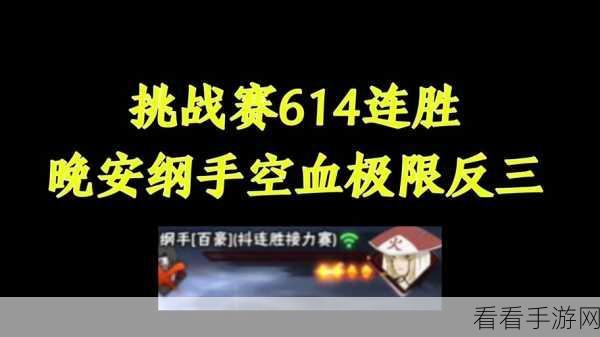 火影忍者耐力测试6.5剧情简介：火影忍者耐力测试6.5：勇气与友情的极限挑战