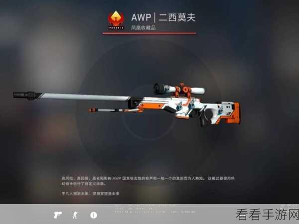 日本csgo大姐姐awp多少钱：“日本小姐姐CSGO AWP价格揭秘：你想知道的都在这里！”