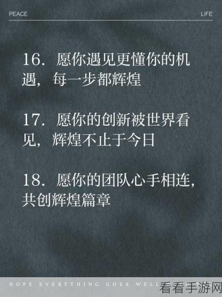 夜晚网站你会感谢我的：“感谢您的支持，让我们共创璀璨夜晚新篇章！”