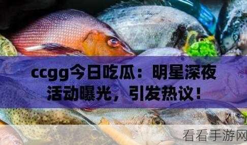 海外吃瓜网黑料：海外吃瓜盛行，网红黑料层出不穷引关注