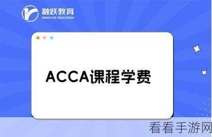 acca少女网课韩国：ACC少女网课：探索韩国时尚与财务管理的完美结合