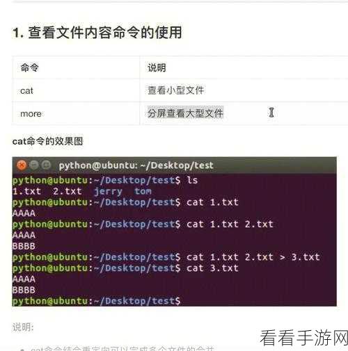 掌握 Linux Python 命令行代码调试秘籍