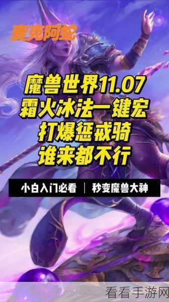 3.35惩戒骑一键输出宏：3.35版本惩戒骑一键输出宏全解析与实战应用