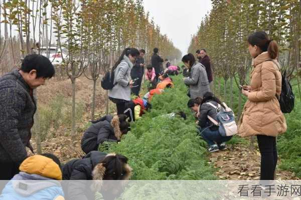 女生和男生一起拨萝卜不盖被子黄片：男女共赴萝卜田，温馨时光不盖被子的趣事