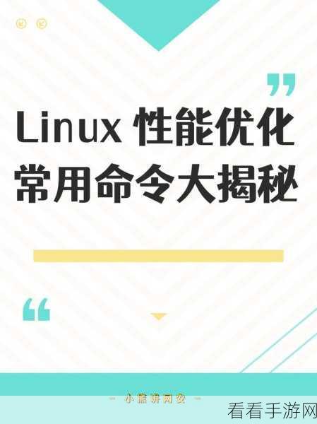 Linux IPCS 命令，系统性能优化的秘密武器