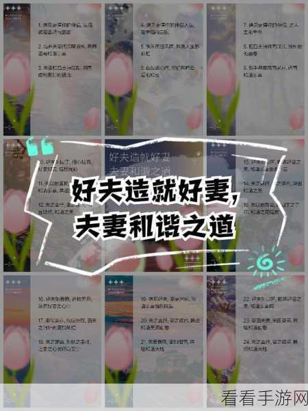 男男女女差差差：探索男女之间的差异与理解，共建和谐关系之道