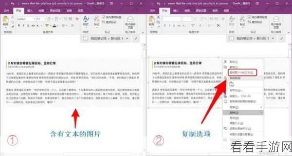 轻松搞定！Word 中图片与文字完美组合秘籍