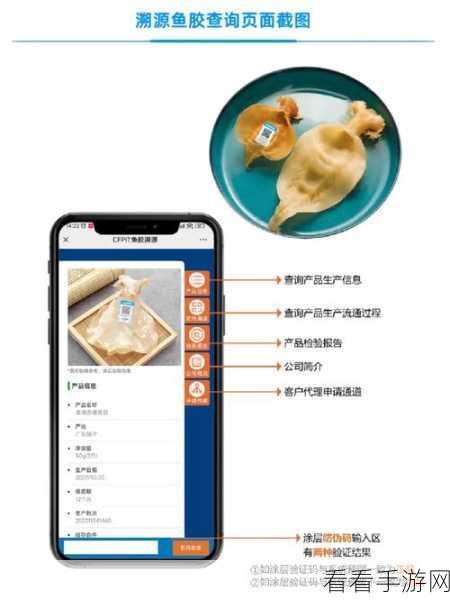 动胶配方大全高清：全面解析动胶配方及其应用技巧大全高清版